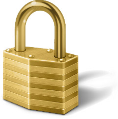 IT Security Lock